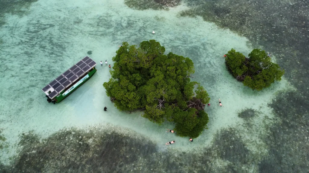 Excursion dans les mangroves de Sainte-Rose avec Will Evasion (Guadeloupe)