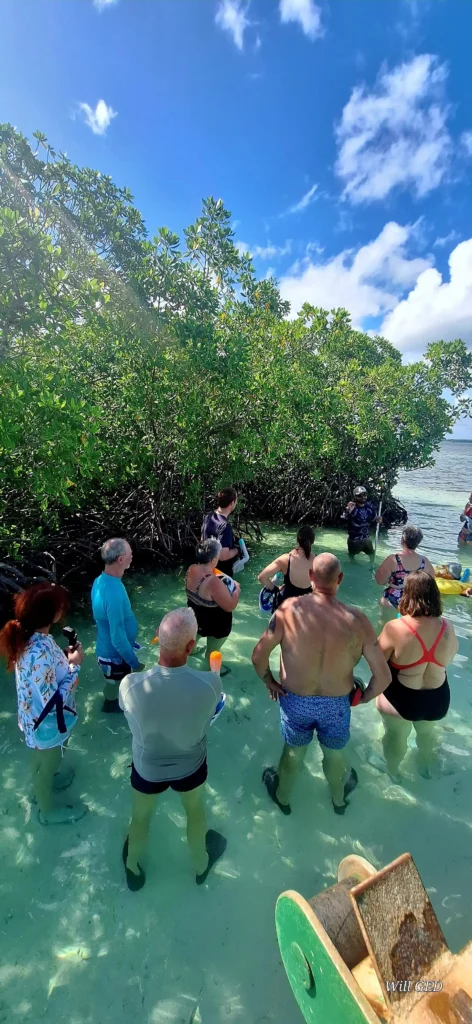Sortie pédagogique avec Will Evasion à Sainte Rose en Guadeloupe