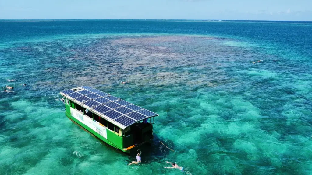 Excursion dans les mangroves de Sainte-Rose avec Will Evasion (Guadeloupe)