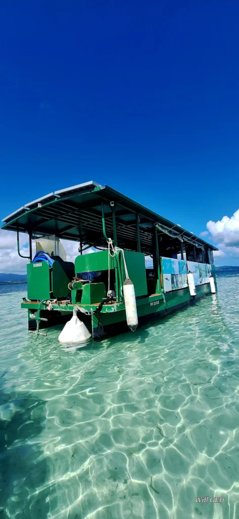 Excursion dans les mangroves de Sainte-Rose avec Will Evasion (Guadeloupe)