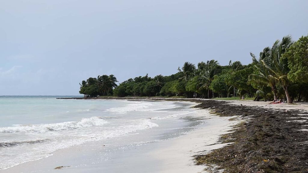 Le Gosier Guadeloupe
