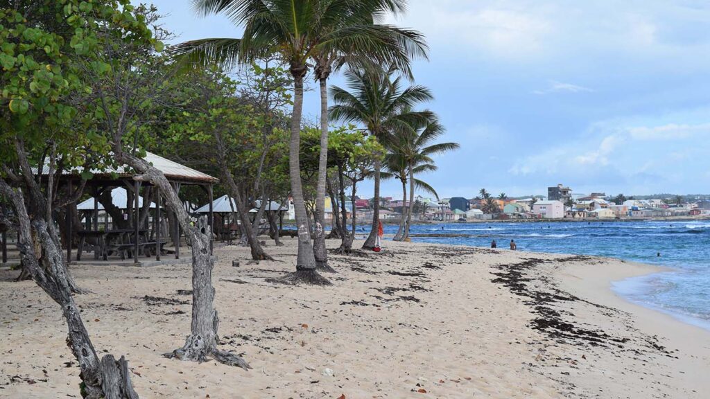 Plage des Alizees Le Moule Guadeloupe