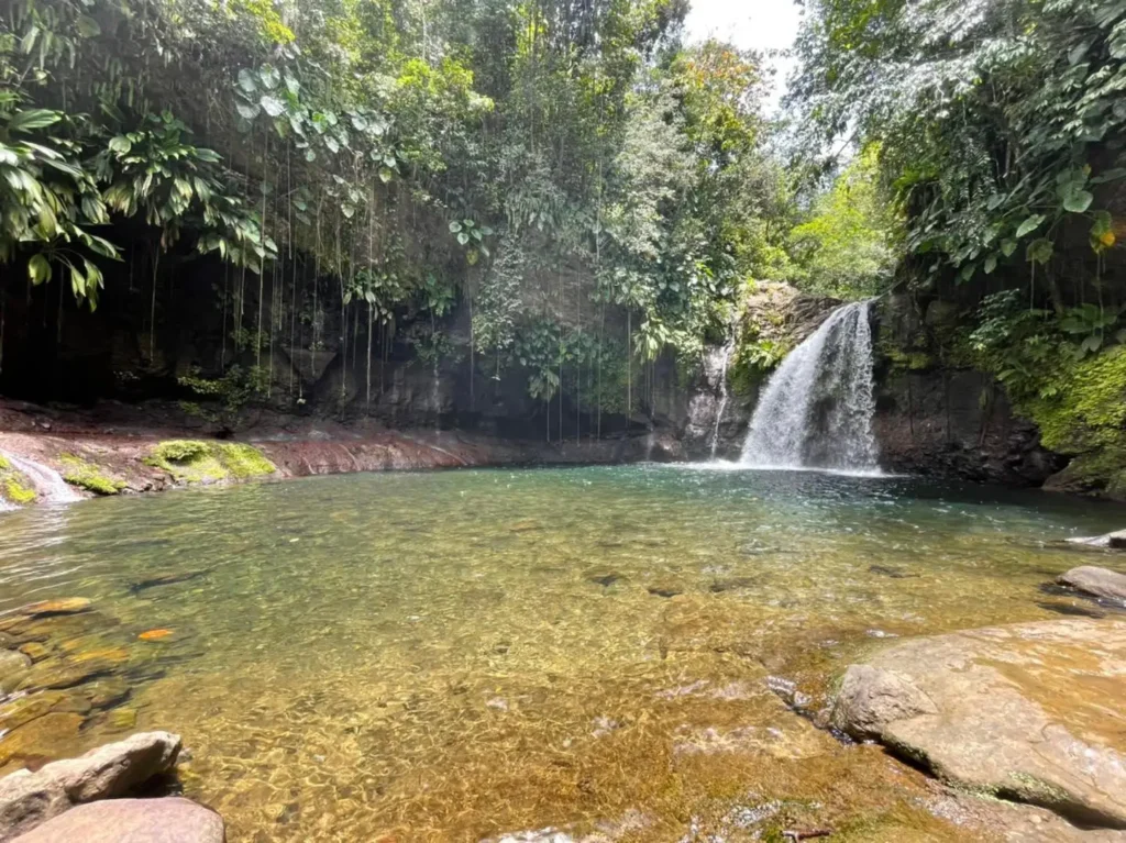 Cascades et rivières de Guadeloupe au départ de Kaz à Thomy à Pointe-Noire