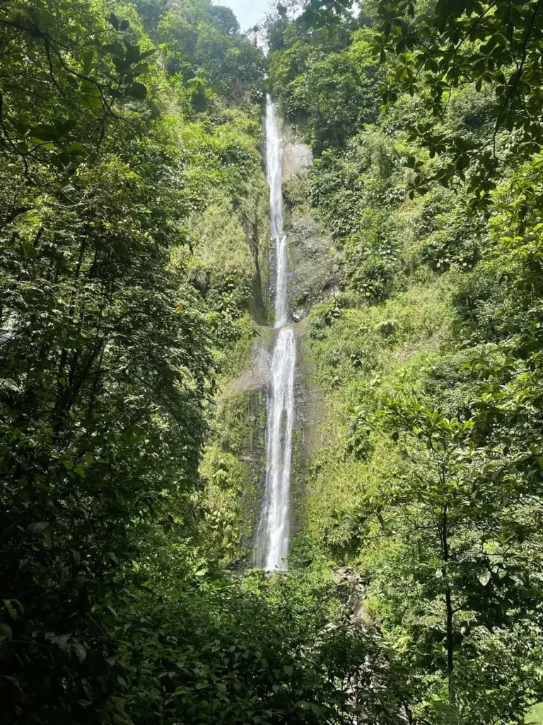 Cascades et rivières de Guadeloupe au départ de Kaz à Thomy à Pointe-Noire