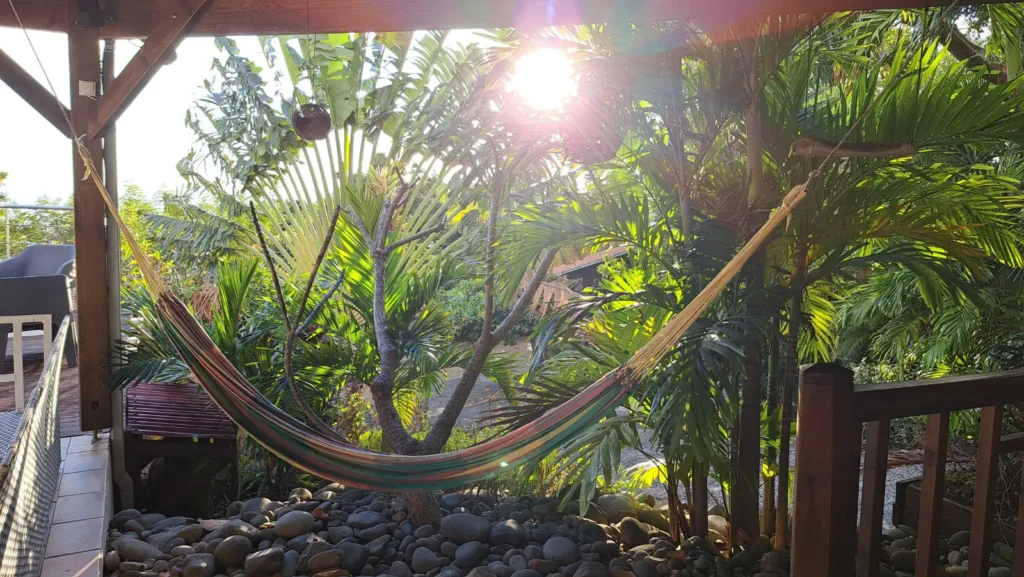 Hamac à l'ombre de l'arbre du voyageur à la Villa Secret Garden Pointe-Noire Guadeloupe