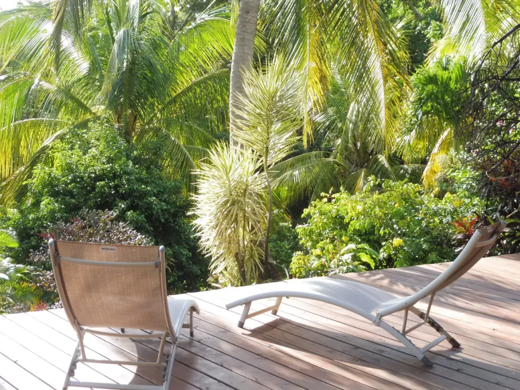 Le solarium du gîte Ravin La Acomat Bellevue Pointe-Noire Guadeloupe