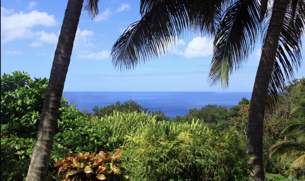 Paysage de rêve aux gîtes Acomat Bellevue Pointe-Noire Guadeloupe