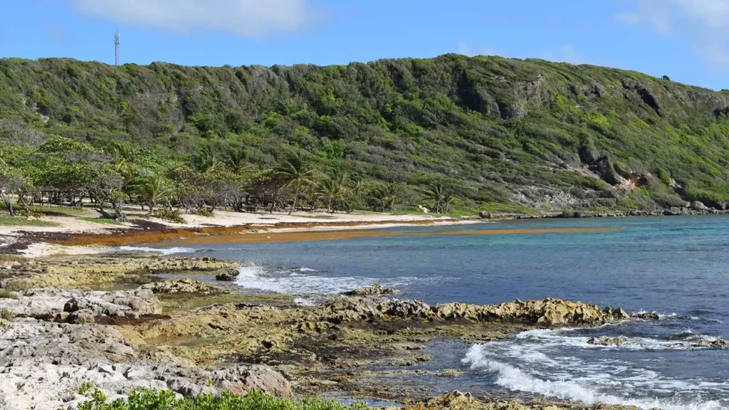 Plage en Grande-Terre de Guadeloupe