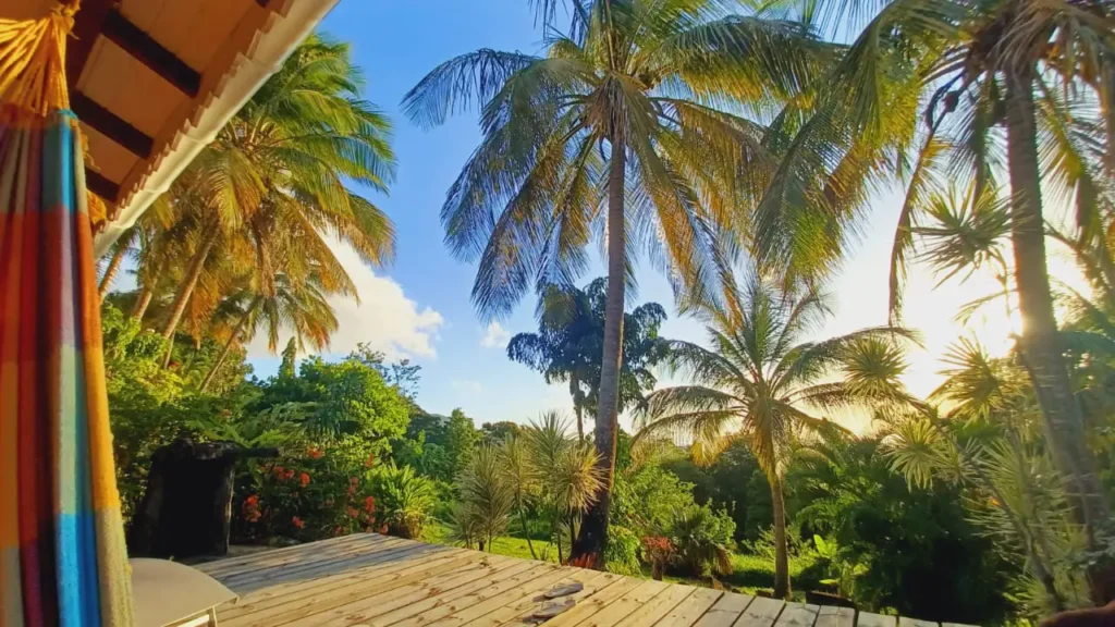 Vue sur la végétation luxuriante depuis la terrasse du gîte Ravin La Acomat Bellevue Pointe-Noire Guadeloupe