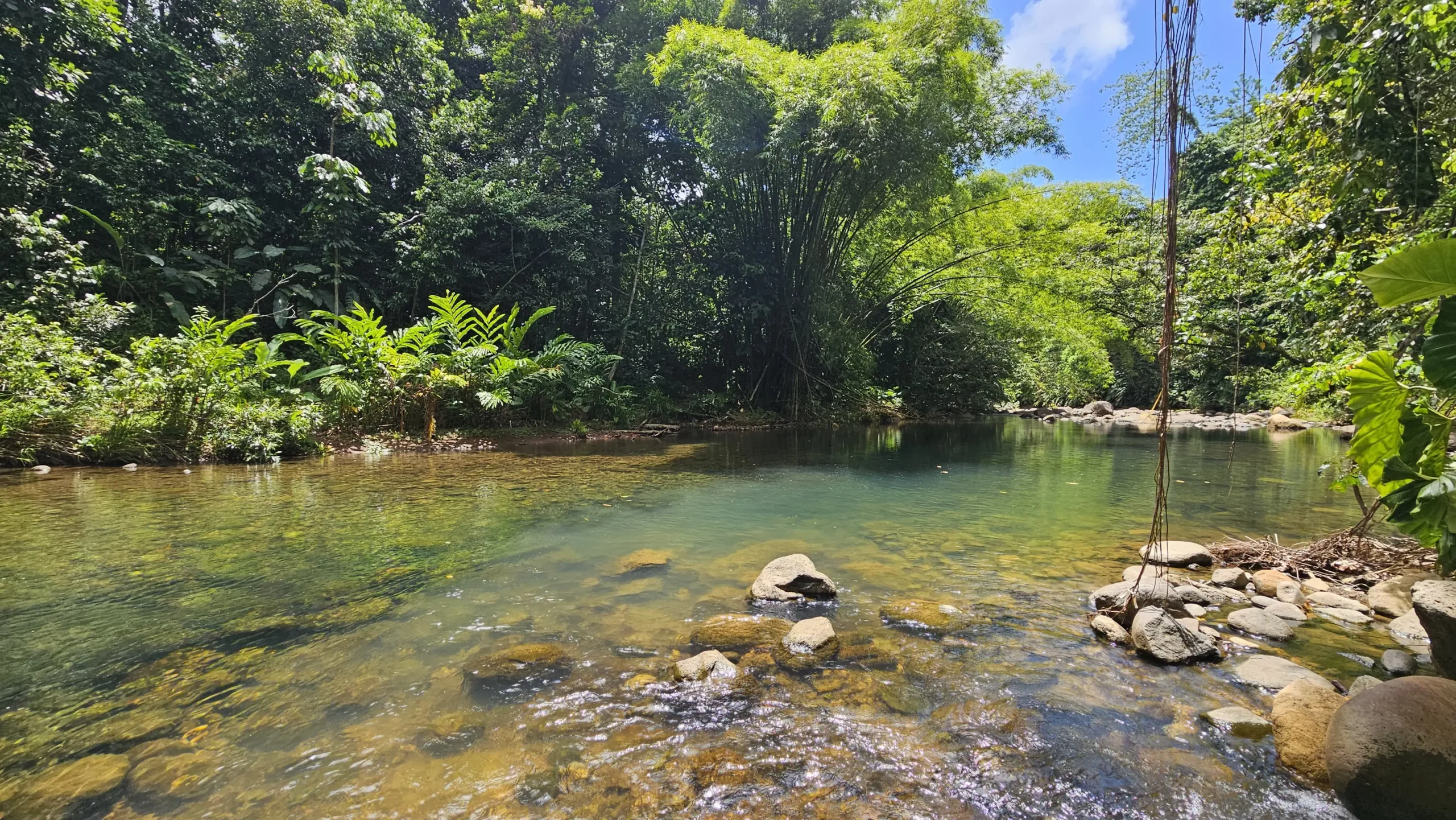Ravine Tambour Petit-Bourg Guadeloupe par Gîte chez Claudia