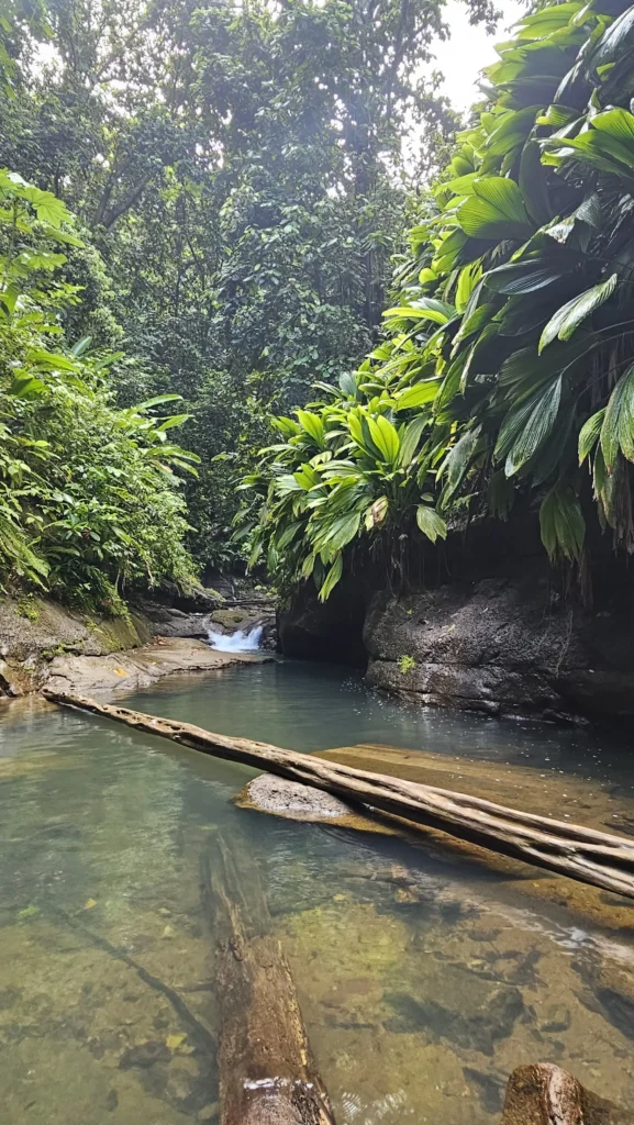 Ravine Tambour Petit-Bourg par Gîte Chez Claudia
