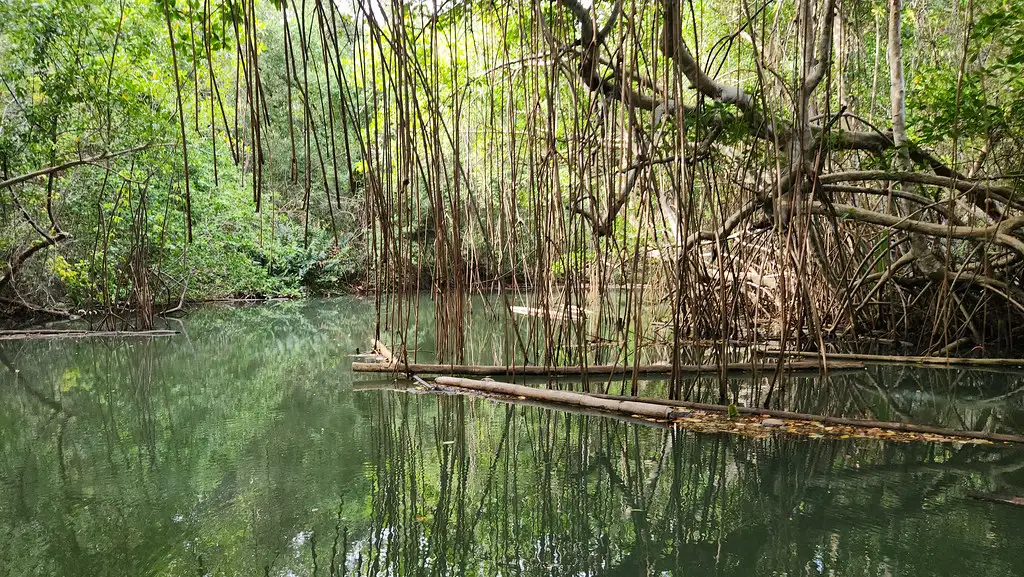 Grand cul de sac marin Le Lamentin Guadeloupe