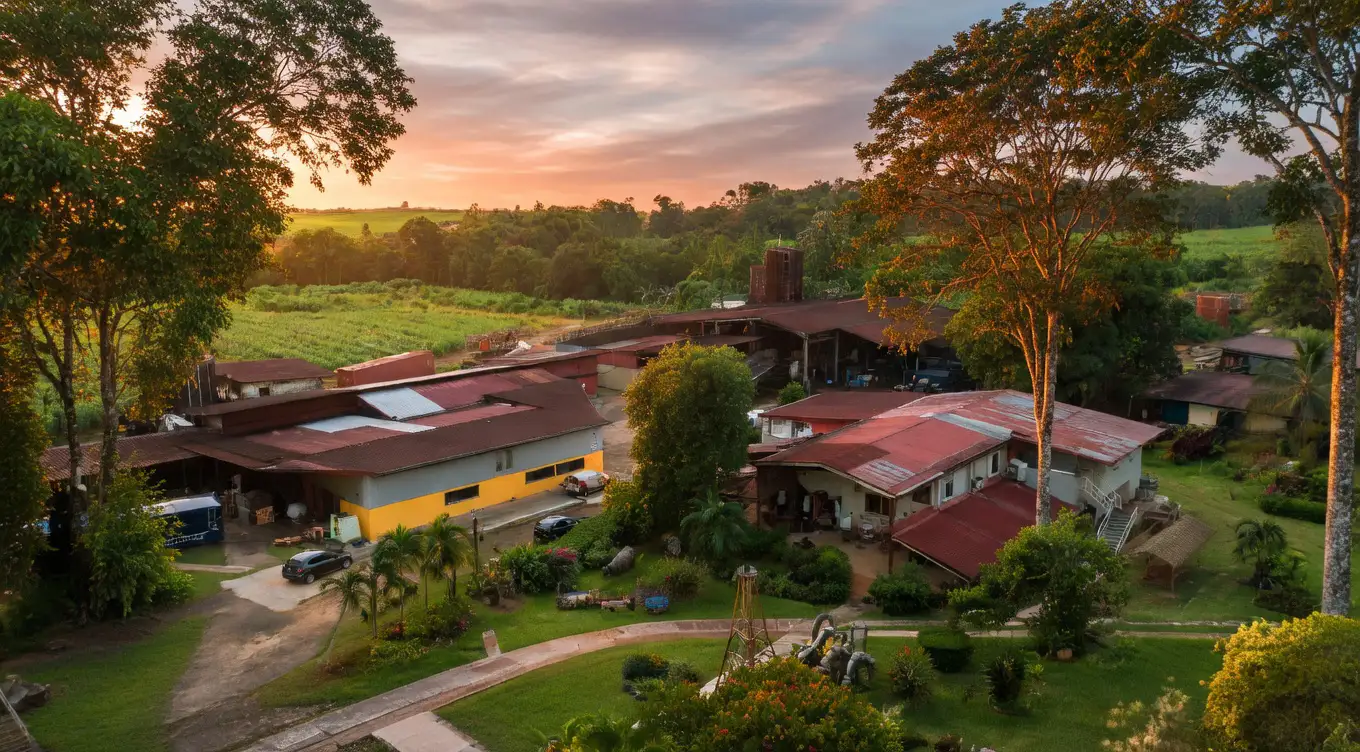 Vue aérienne de la Distillerie Reimonenq à Sainte-Rose Guadeloupe