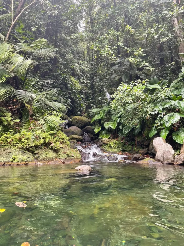 Cascade Bois Debout GwadaExplo Guadeloupe