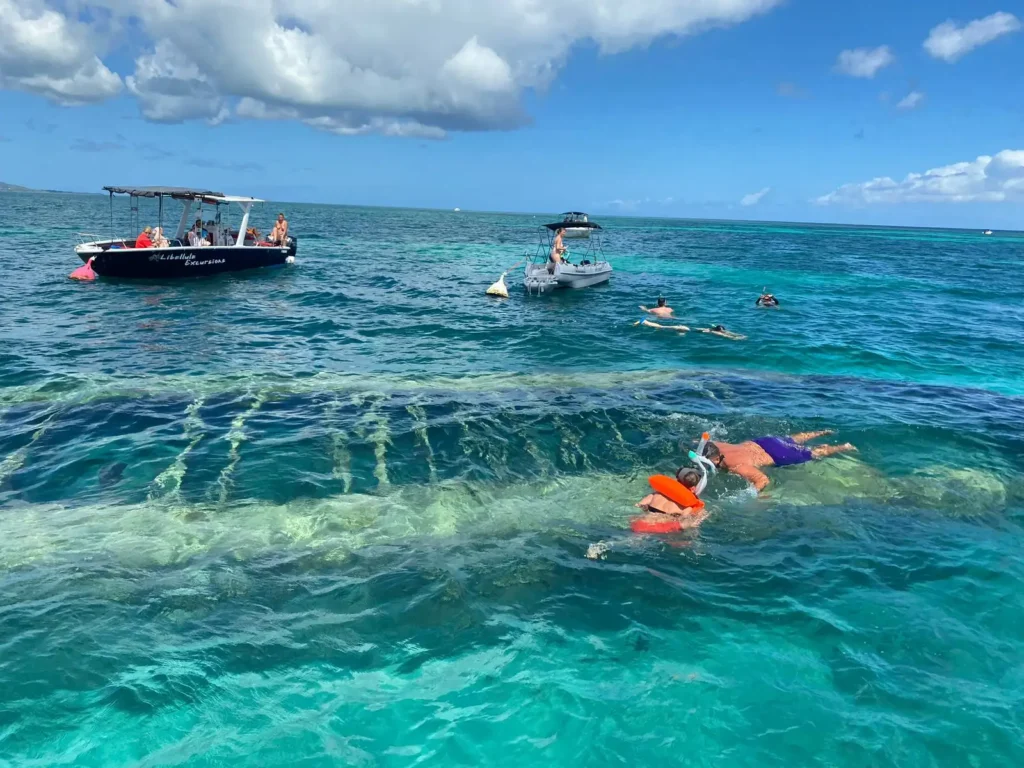 Excursions Espérance en plongée avec masque et tuba au dessus de la barge échouée dans le grand Cul-de-Sac Marin