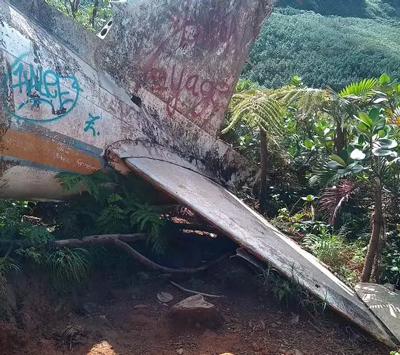 La queue de l'avion encore parfaitement visible crash du DC3 Guadeloupe