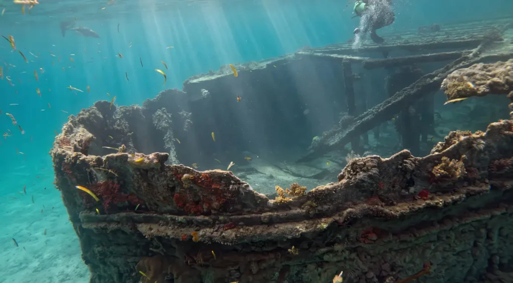 La vieille barge échouée dans le grand Cul-de-Sac marin avec Excursions Espérance Guadeloupe