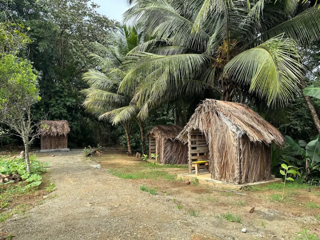 Notre espace détente, loin de la foule et en pleine nature Karukera Manioca Sainte-Rose Guadeloupe