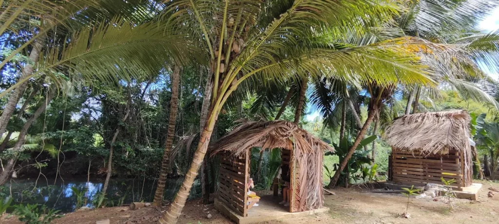 Un petit bout de paradis vous accueille pour déguster nos kassaves à Sainte-Rose Guadeloupe