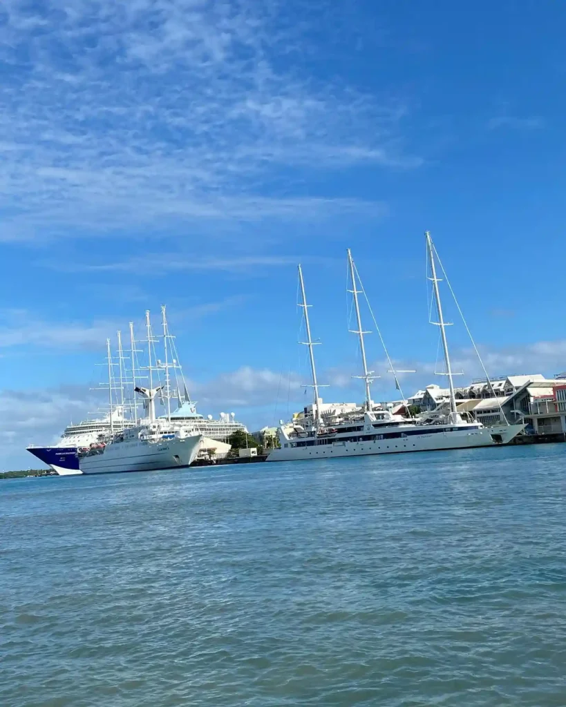 Visite de la darse de Pointe-à-Pitre avec Excursions Espérance vue sur les paquebots et voiliers de croisière à quai
