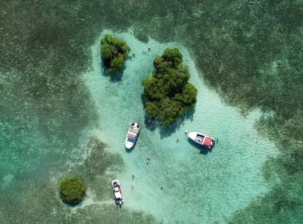 Visite des Ilets La Biche avec Brudey Excursions Guadeloupe