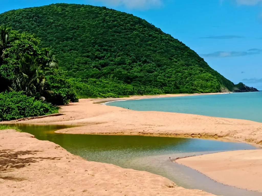 Conciergerie de Pointe Noire Guadeloupe