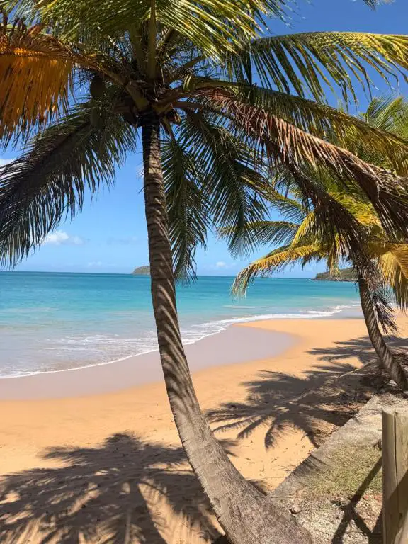 La plage de la Perle avec vue sur l'ilet Kahouane par Filao Cottage à Sainte-Rose Guadeloupe