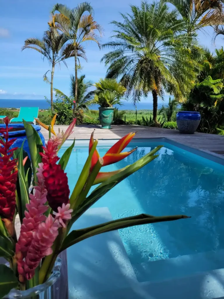 Bouquet de fleurs tropicales et piscine avec vue mer Habitation Tara à Capesterre Belle-Eau Guadeloupe