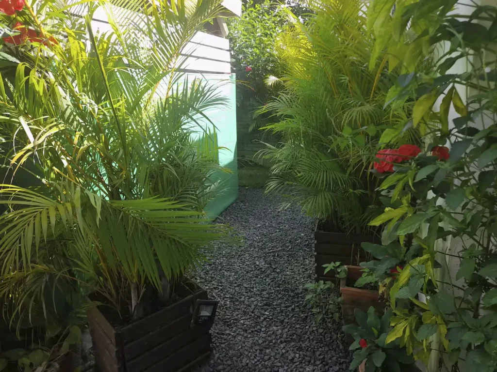 Les allées du jardin tropical à La Maison des Cocotiers à Sainte-Rose Guadeloupe