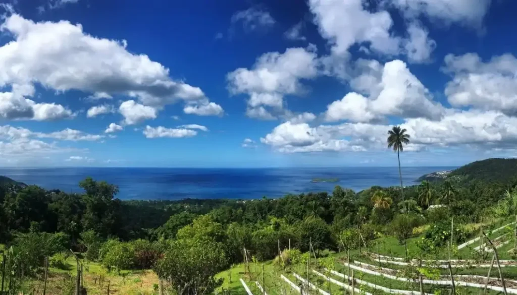 Vue sur le parc de 3 Hectares et les ilets Pigeon au loin Habitation Caféière Bouillante Guadeloupe