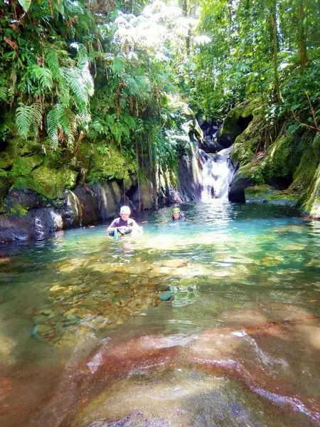La pureté des eaux fraîches avec Canyon Guadeloupe à Sainte-Rose