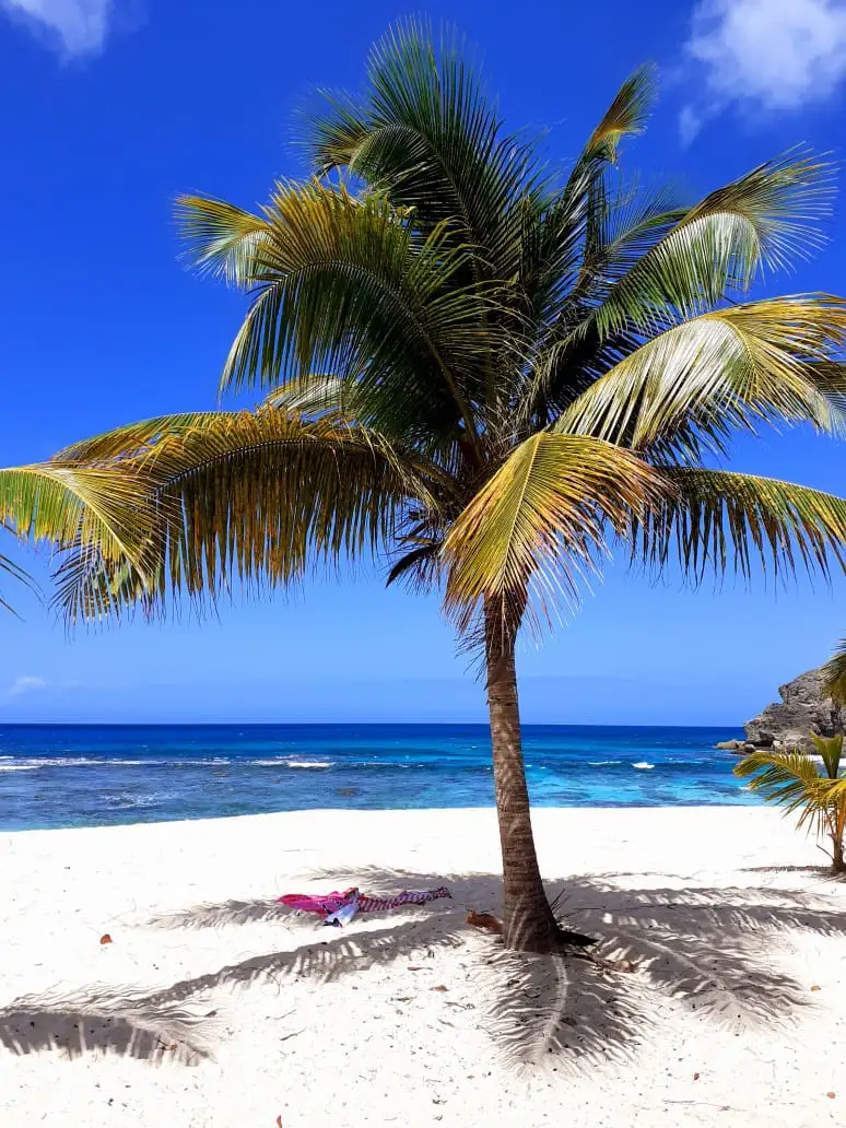 Anse Laborde Kio Tours Excursions Guadeloupe