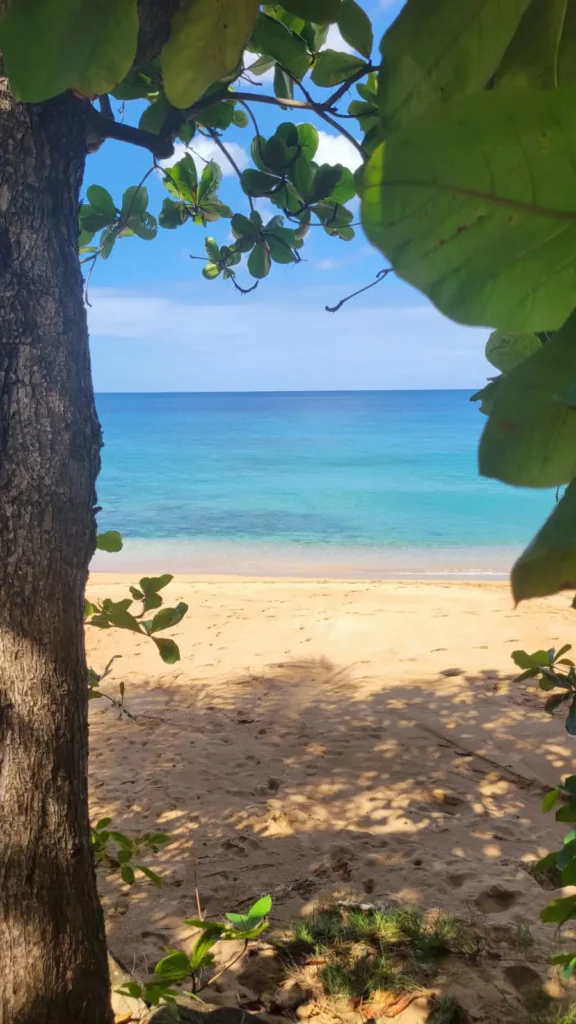 Belle journée pour un pique nique à La Kaz a Ketty Deshaies guadeloupe
