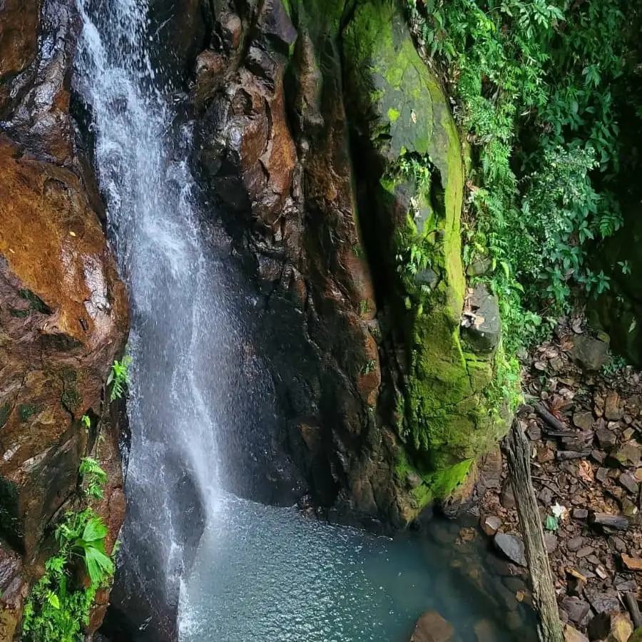 Cascade de Guadeloupe Kio Tours Excursions Guadeloupe
