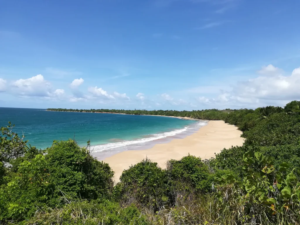 Clugny vue aérienne Kio Tours Excursions Guadeloupe