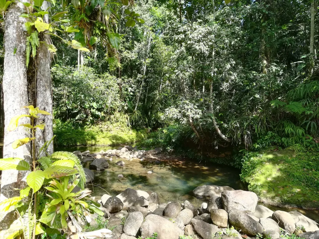 Coin secret avec Kio Tours Excursions Guadeloupe