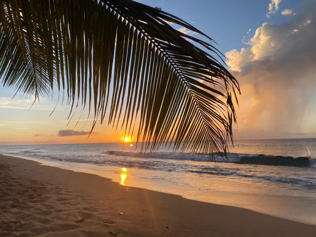 Coucher de soleil sur les plages de Guadeloupe Kio Tours Excursions Guadeloupe (1)