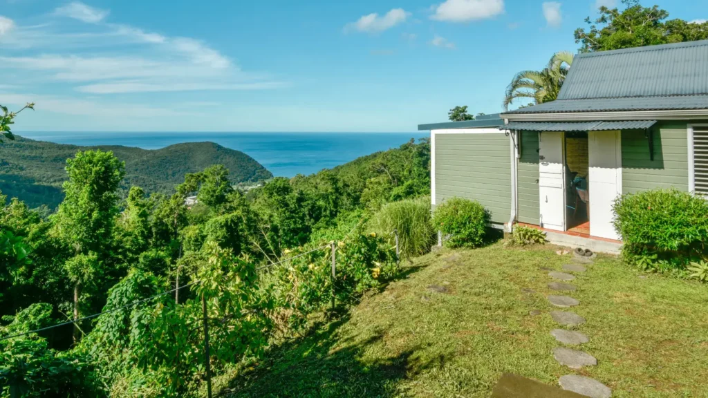 La Lodge Blue Mountain dans son écrin de verdue Beauséjour Guest House à Pointe-Noire Guadeloupe