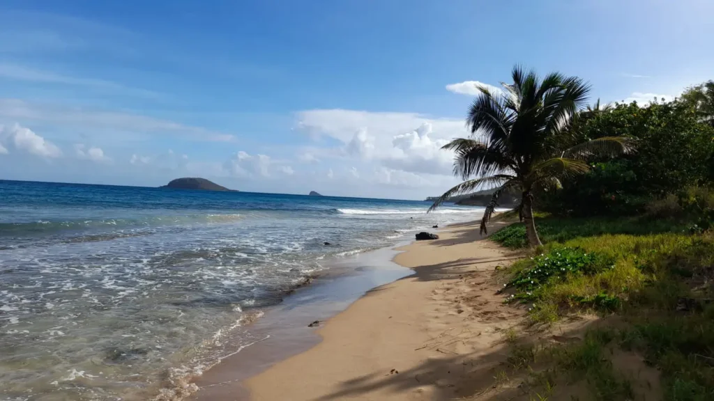 La plage de Riflet à La Kaz a Ketty Deshaies guadeloupe