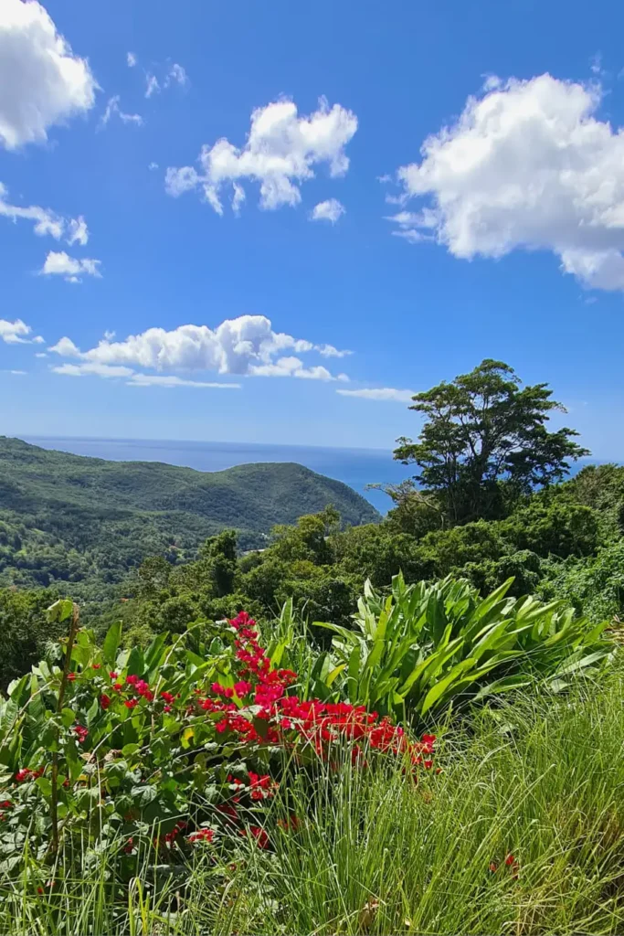 La vue depuis la terrasse de la Lodge Tarrazu Beauséjour Guest House à Pointe-Noire Guadeloupe