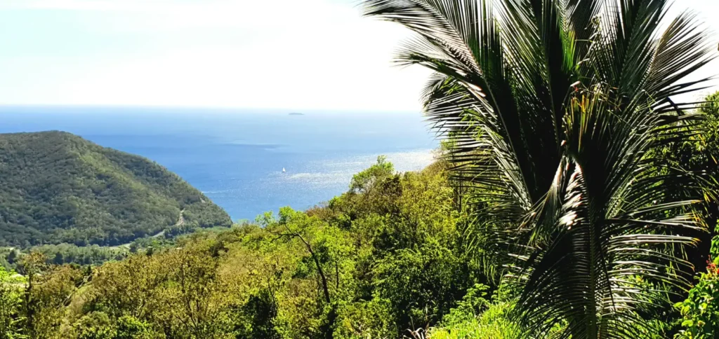 La vue réellement inoubliable depuis la Lodge Blue Mountain Beauséjour Guest House à Pointe-Noire Guadeloupe