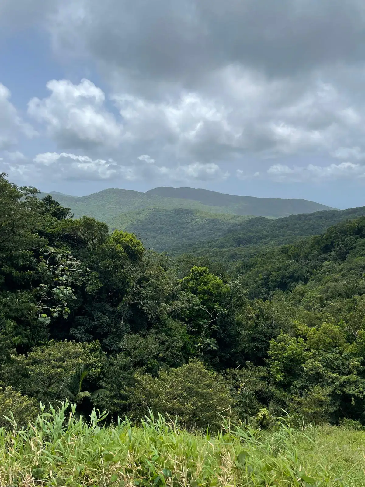 Paysages de Guadeloupe avec Kio Tours Excursions (14)