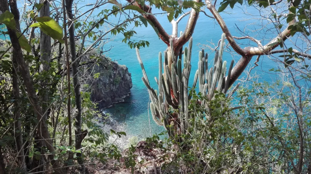 Trace petit Malendure à Bouillante Kio Tours Excursions Guadeloupe