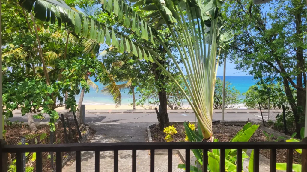 Vue sur la plage depuis la terrasse de la Kaz a Ketty à Deshaies Guadeloupe