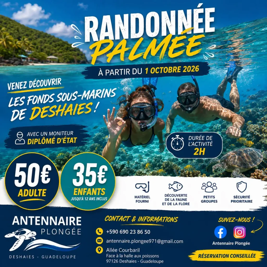 flyers antennaire plongée