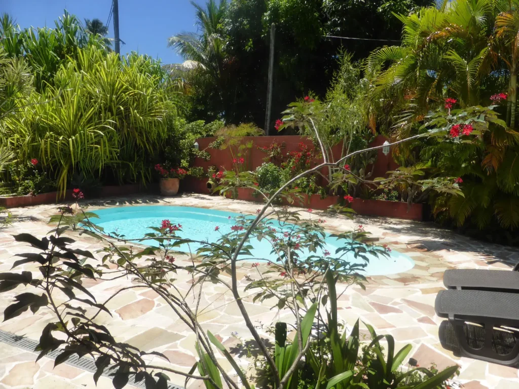 La piscine sans vis-à-vis Caribbean Ashanti Lodge Trois Rivières Guadeloupe