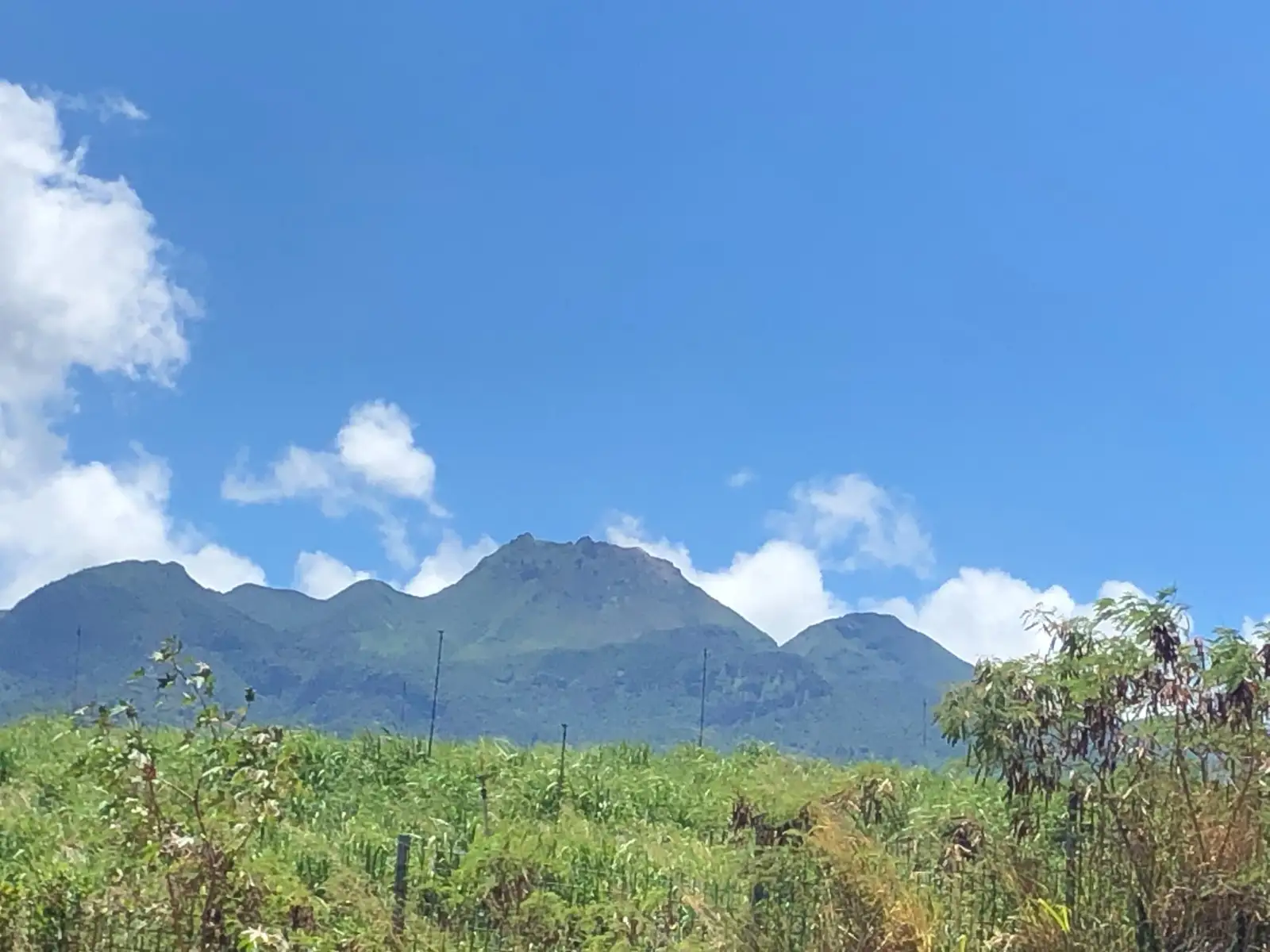 Vue sur le volcan depuis Caribbean Ashanti Lodge Trois Rivières Guadeloupe