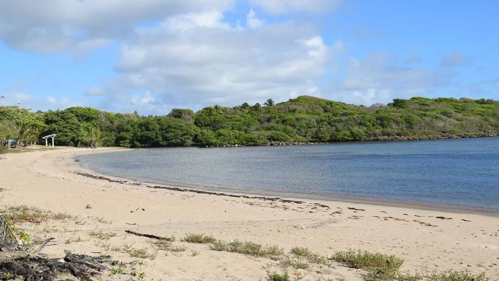 La plage Baie du Nord-Ouest à Le Moule Guadeloupe