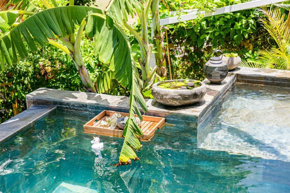 Piscine privée Villa Balinaise -Location Niaouli Le Moule Guadeloupe (7)