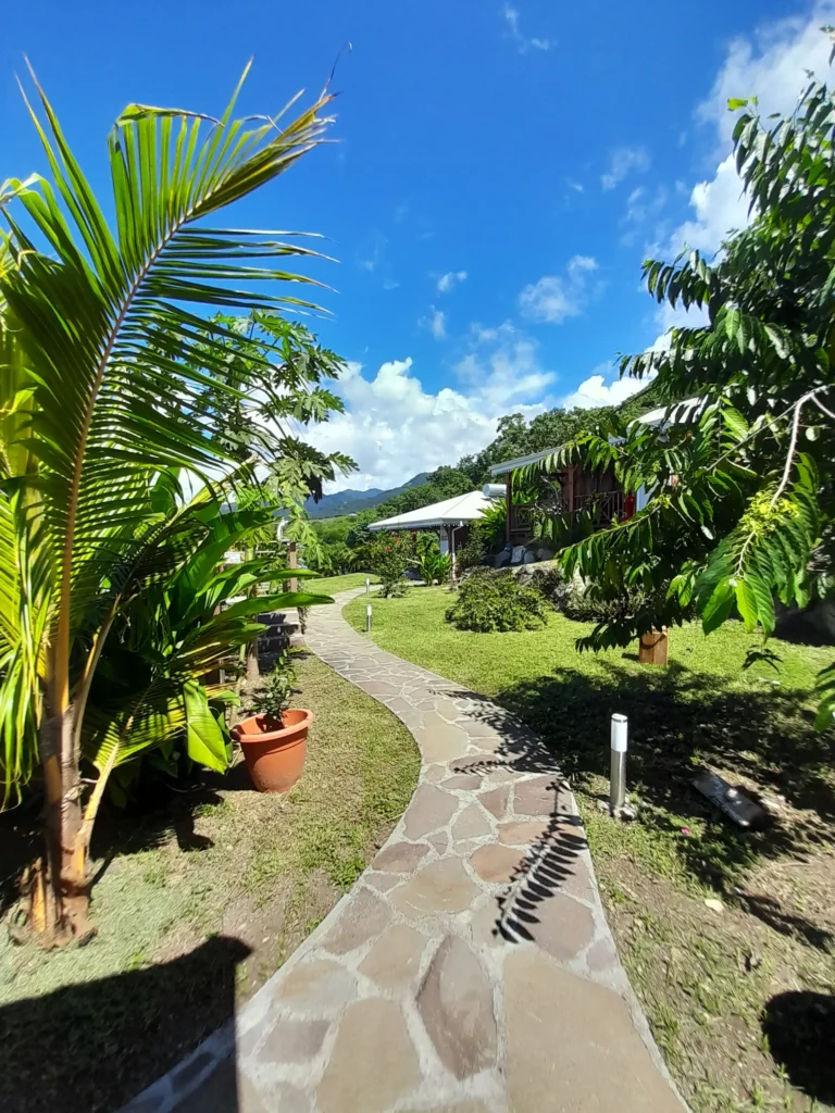 Un joli jardin tropical Les Gîtes Authentic Caraibe à Vieux Habitants Guadeloupe (4)
